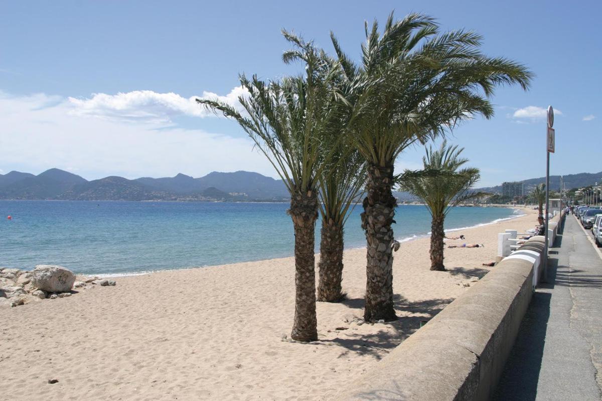 Maisonnette Studio Bas Suquet, Proche Plage Et Palais Cannes Eksteriør billede